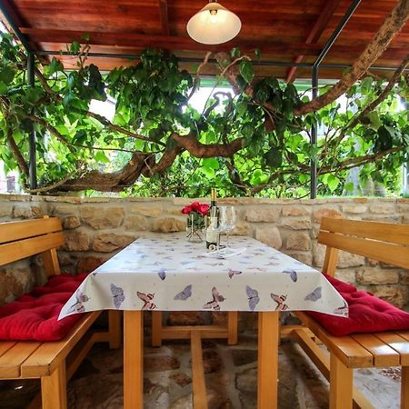 Carla Guest House Novigrad Istria Kültér fotó
