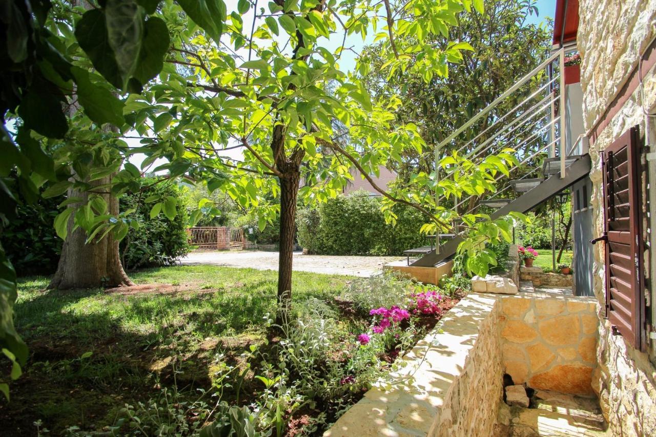 Carla Guest House Novigrad Istria Kültér fotó