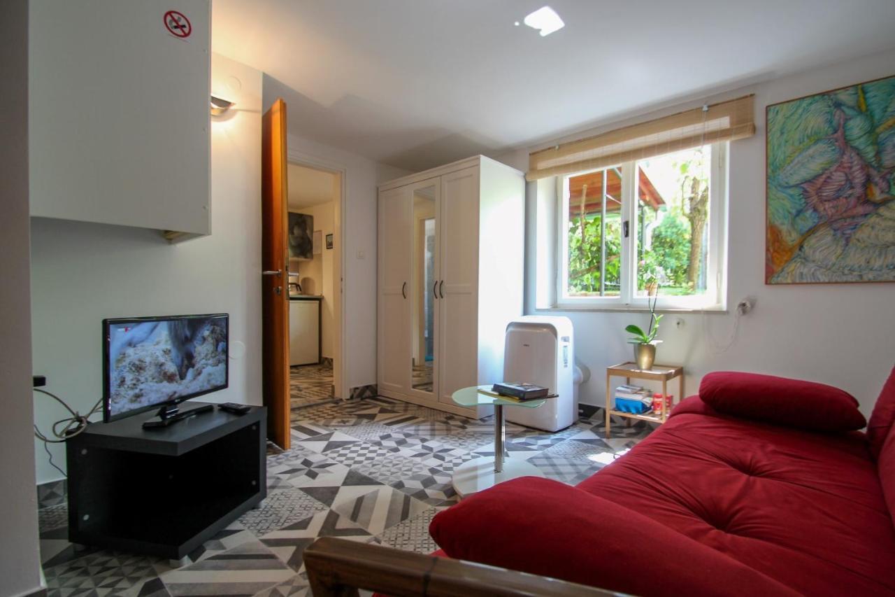 Carla Guest House Novigrad Istria Kültér fotó